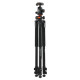 Штатив Vanguard Alta Pro 263AB 100 (DAS301277)