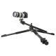 Штатив Vanguard Alta Pro 263AB 100 (DAS301277)