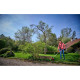 Einhell Cordless trimmer GE-CT 18/33 Li E - Solo, PXC, 18V, 33 cm, 7000 rpm, 2.65 kg (without battery and charger) (3411270)