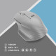 2E Mouse MF280 Silent WL BT Gray (2E-MF280WGR)