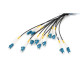 Digitus Предварительно собранный волоконно-оптический универсальный кабель, одномодовый OS2, 12 волокон, LC/UPC - LC/UPC (DK-2A33CU050BK-BBB)