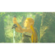 Games Software Гра консольна Switch 2 Legend of Zelda: Breath of the Wild, картридж (0045496312664)