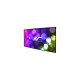 Проекционный экран Elite Screens AR120WH2