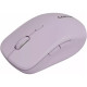 Мышка Canyon MW-12 Wireless/Bluetooth Pink (CNS-CMSW12P)