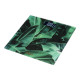 ARDESTO scales for floor Leaves.150kg, AAAx2 included, glass, multi-colored (SCB-965LEAVES)