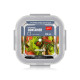 ARDESTO Food storage container Gemini 0.31l, borosilicate glass, plastic, square, transparent (AR1230BSQ)