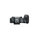 Цифровой фотоаппарат Canon EOS R8 body (5803C019)