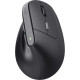 Trust Mouse Bayo 2 Ergonomic, WL/USB-A, black (25145_TRUST)
