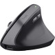 Trust Mouse Bayo 2 Ergonomic, WL/USB-A, black (25145_TRUST)