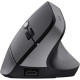 Trust Mouse Bayo 2 Ergonomic, WL/USB-A, black (25145_TRUST)