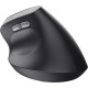 Trust Mouse Bayo 2 Ergonomic, WL/USB-A, black (25145_TRUST)