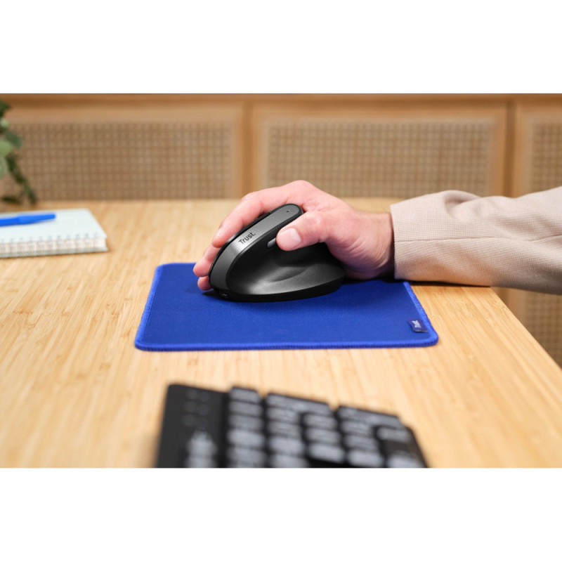 Trust Mouse Bayo 2 Ergonomic, WL/USB-A, black (25145_TRUST)