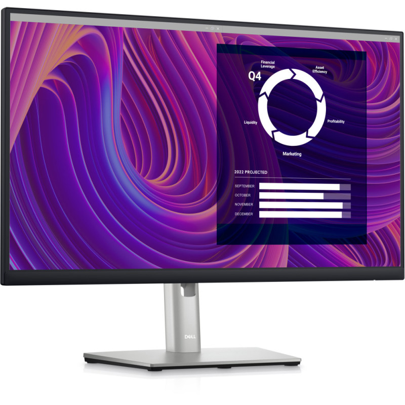 Dell LCD 23.8  P2423D (210-BDEG)