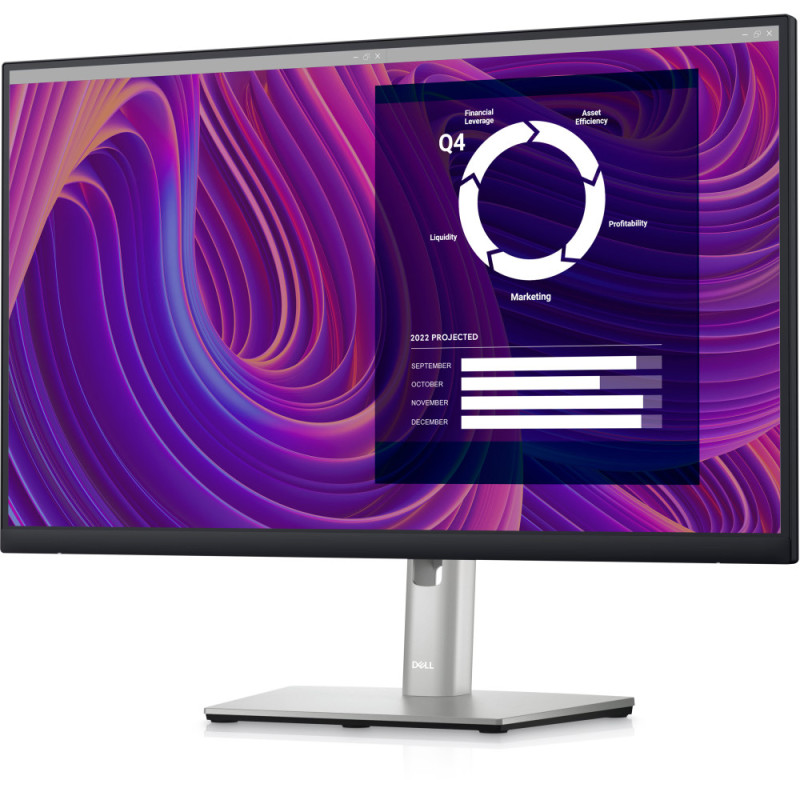 Dell LCD 23.8  P2423D (210-BDEG)