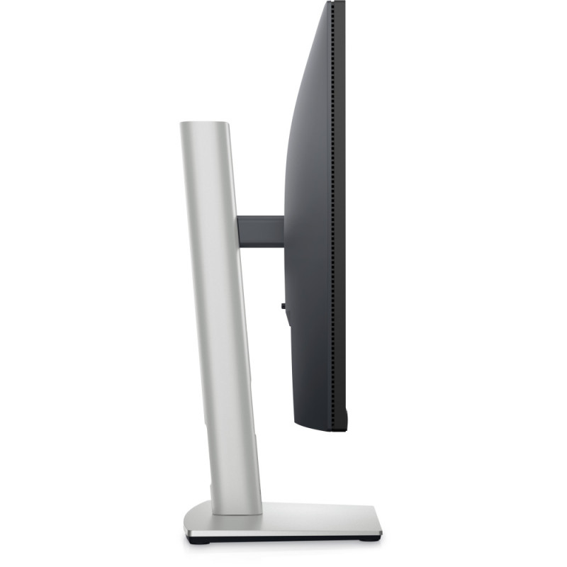 Dell LCD 23.8  P2423D (210-BDEG)