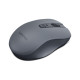 Мышка Lenovo WL310 Silent Bluetooth Grey (GY51Q65621)