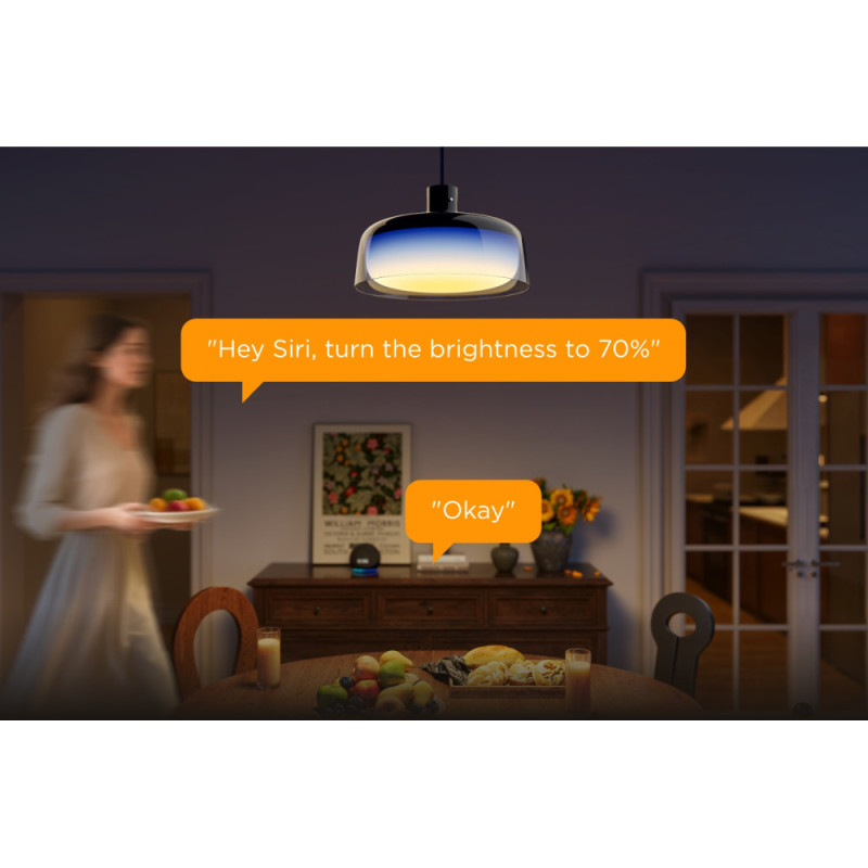 Govee Лампа H60C1 Pendant Light, RGBWW, 2700 K – 6500 K, 1300 Lum, WI-FI/Bluetooth, чорна (H60C13F1)