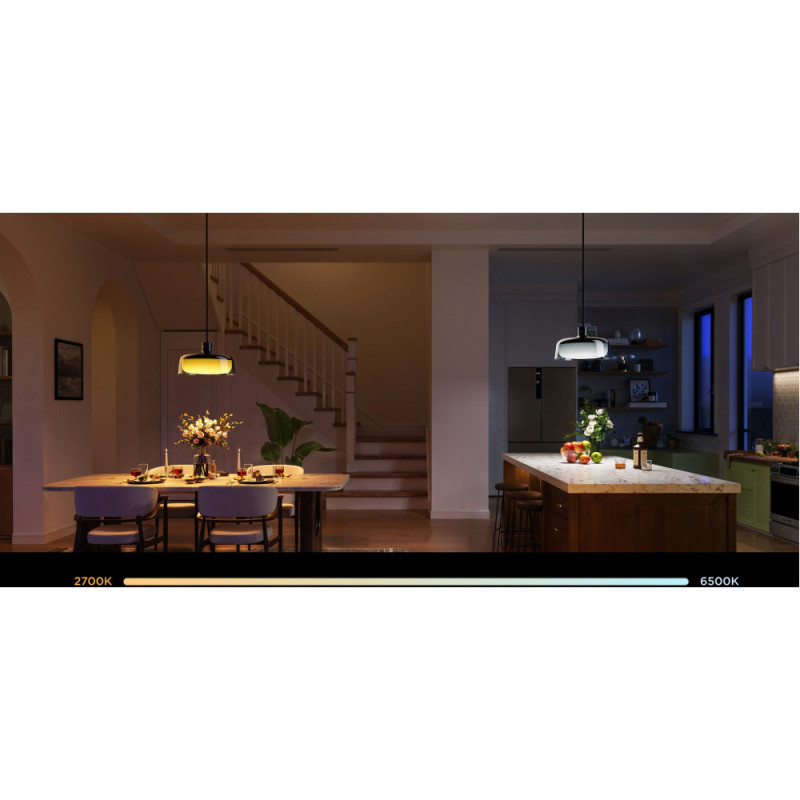 Govee Лампа H60C1 Pendant Light, RGBWW, 2700 K – 6500 K, 1300 Lum, WI-FI/Bluetooth, чорна (H60C13F1)