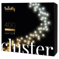 Twinkly Twinkly Cluster AWW 400, 6 meter long, Gen II, IP44, black wire (TWC400GOP-BEU)