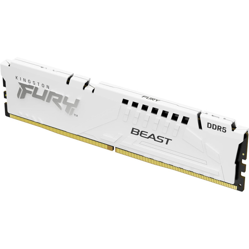 Kingston Пам'ять ПК Kingston DDR5 16GB 6000 FURY Beast EXPO Білий (KF560C36BWE2-16)