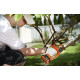 SEQUOIA cordless chain saw SBC2008BM-EV 20V battery 1x4.0A·h bar 20cm 1/4  7.5m/s ZP 1.7kg