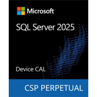 Microsoft SQL Server 2025 - 1 Device CAL (DG7GMGF0VNHV-0001)