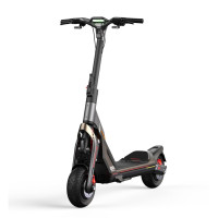 Segway Электросамокат Ninebot GT2P, черный (AA.00.0012.65)