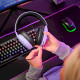 Trust Гарнитура игровая GXT 490 FAYZO, 7.1, USB-A, 2м, фиолетовый (25303_TRUST)
