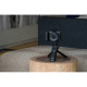 Sony Alpha ZV-E10M2 kit 16-50mm Black (ZVE10M2KB.CEC)