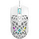 Мышка Canyon Puncher GM-20 USB White (CND-SGM20W)