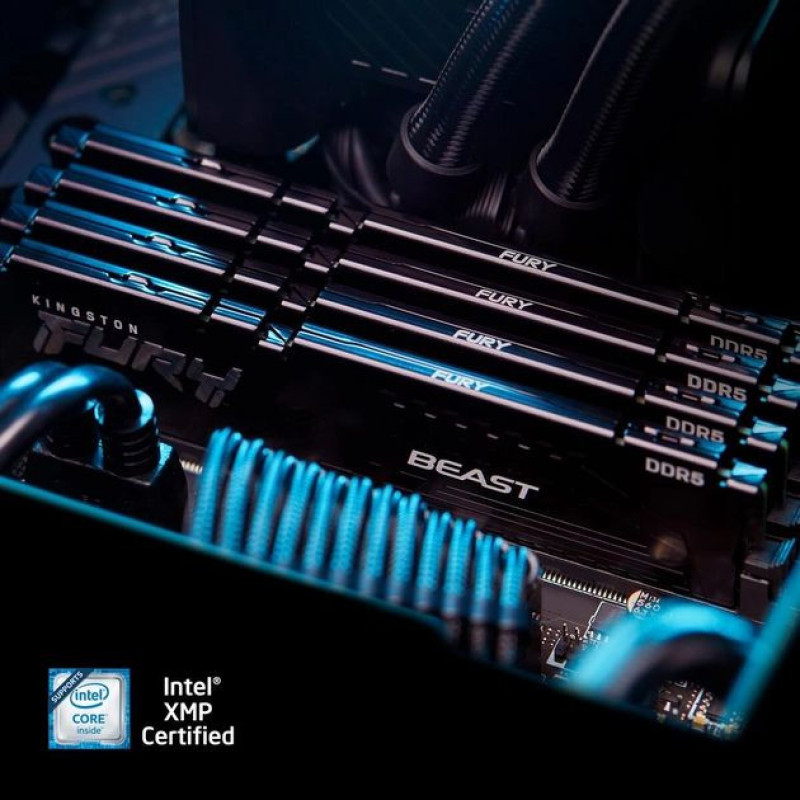 Kingston Memory DDR5 16GB 5200 FURY Beast Black EXPO (KF552C36BBE-16)