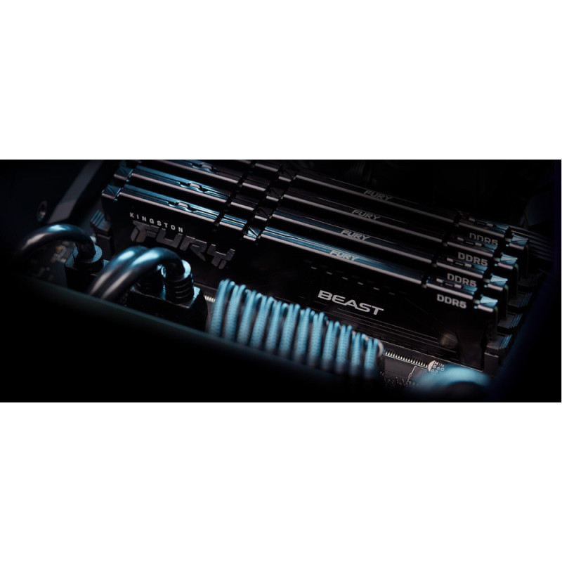 Kingston Memory DDR5 16GB 5200 FURY Beast Black EXPO (KF552C36BBE-16)