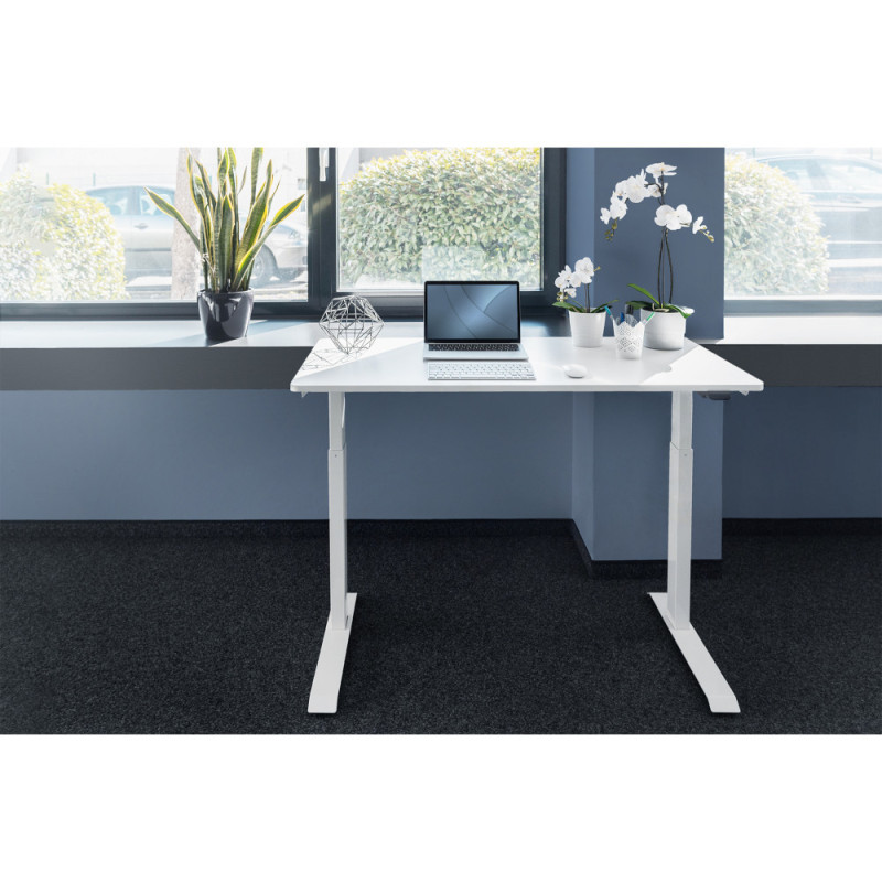 Digitus Стіл Electric Height Adjustable, 73-123cm, white (DA-90407)