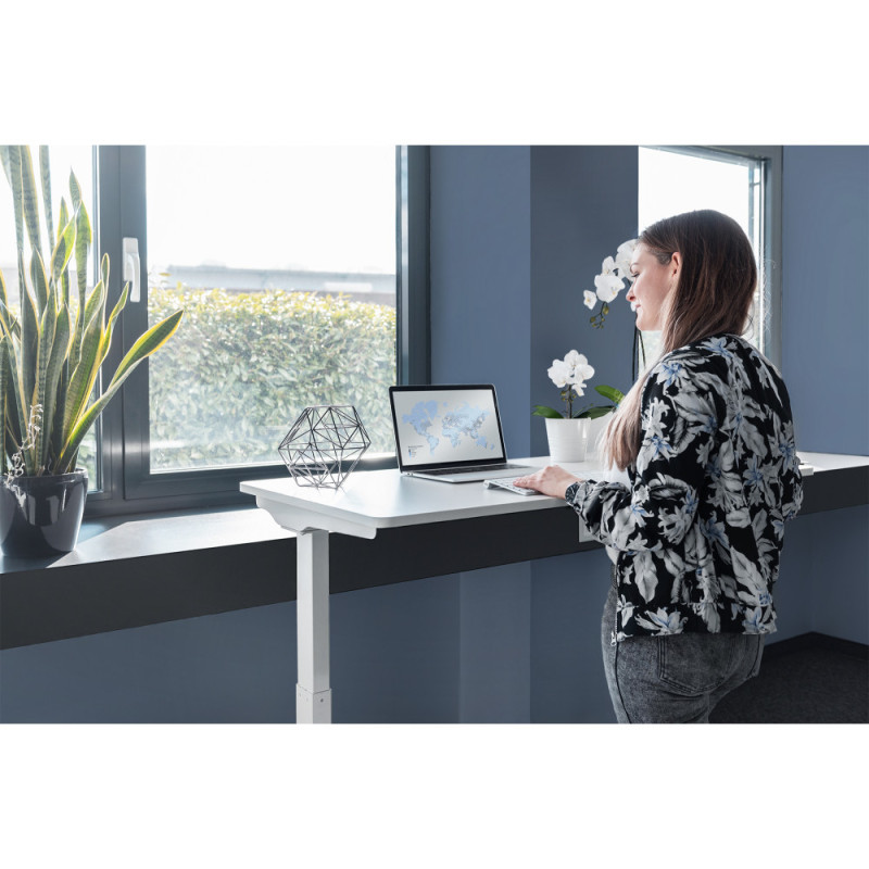 Digitus Стіл Electric Height Adjustable, 73-123cm, white (DA-90407)