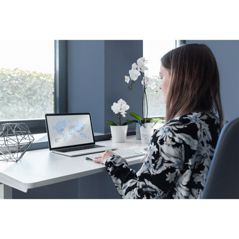 Digitus Стіл Electric Height Adjustable, 73-123cm, white (DA-90407)