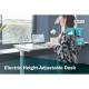 Digitus Стіл Electric Height Adjustable, 73-123cm, white (DA-90407)