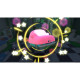 Games Software Гра консольна Switch 2 Kirby Forgotten Land, картридж (0045496312930)