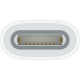 Адаптер Apple USB-C to Apple Pencil Adapter (MWML3ZM/A)