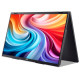Монитор Acer Dual Portable PD243YEbmiuux (UM.QP3EE.E01)