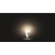 Philips Hue Smart bulb E27, 9W, 2700K, White, ZigBee, Bluetooth, dimming (929001821618)