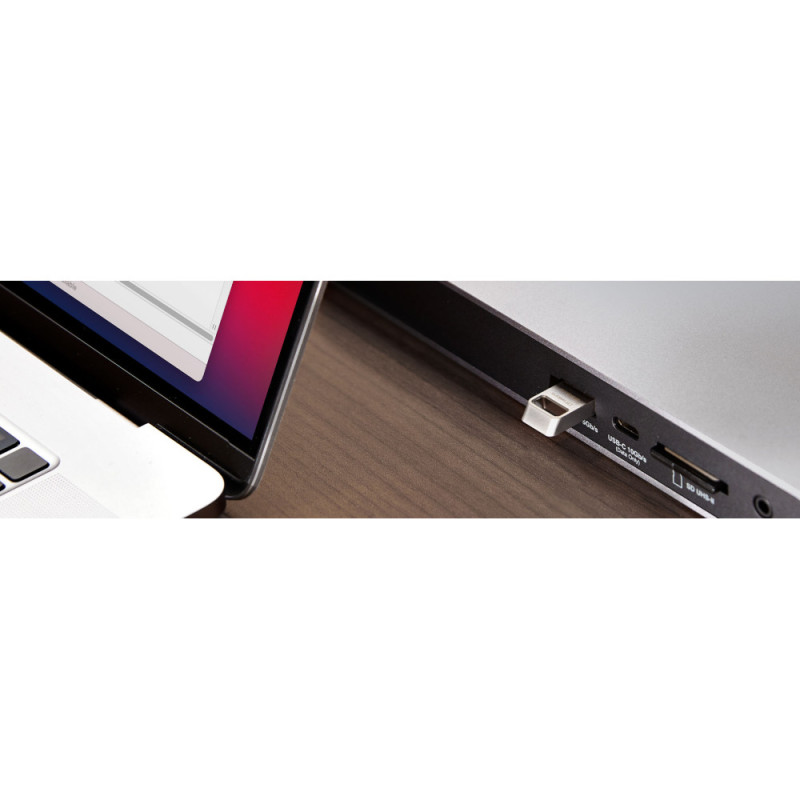 Kingston 256GB USB 3.2 Type-A Gen1 DT Micro R200MB/s Metal (DTMC3G2/256GB)