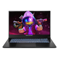 Dream Machines Notebook RG5070-17 17.3FHD IPS, Intel U9-275HX, 32GB, F2TB, NVD5070-8, DOS, black (RG5070-17UA25)