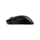 Мышка Zowie U2DW USB/Wireless Black (9H.N4PBE.A2E)