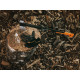 Fiskars Fiskars Splitting Axe XL_X25