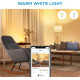 WiZ Smart ceiling lamp SuperSlim Ceiling 16W, 1500lm, 29.2cm, 2700-6500K, Wi-Fi, white (929002685101)