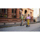 Segway eKickScooter E2 E II (AA.05.14.01.0004)