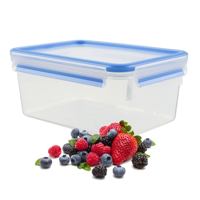 Tefal Food container MASTERSEAL FRESH, 2.30 L, plastic (K3021512)