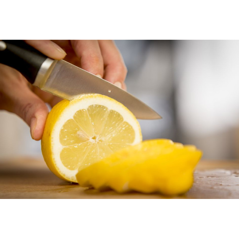 Tefal Ніж для овочів Ice Force 9 см (K2320514)