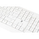 2E Keyboard KS220 WL White
