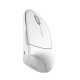 Trust Mouse Verto Ergonomic, WL, White (25132_TRUST)